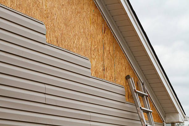 Professional Siding Inspection technician working in Roaring River, NC
